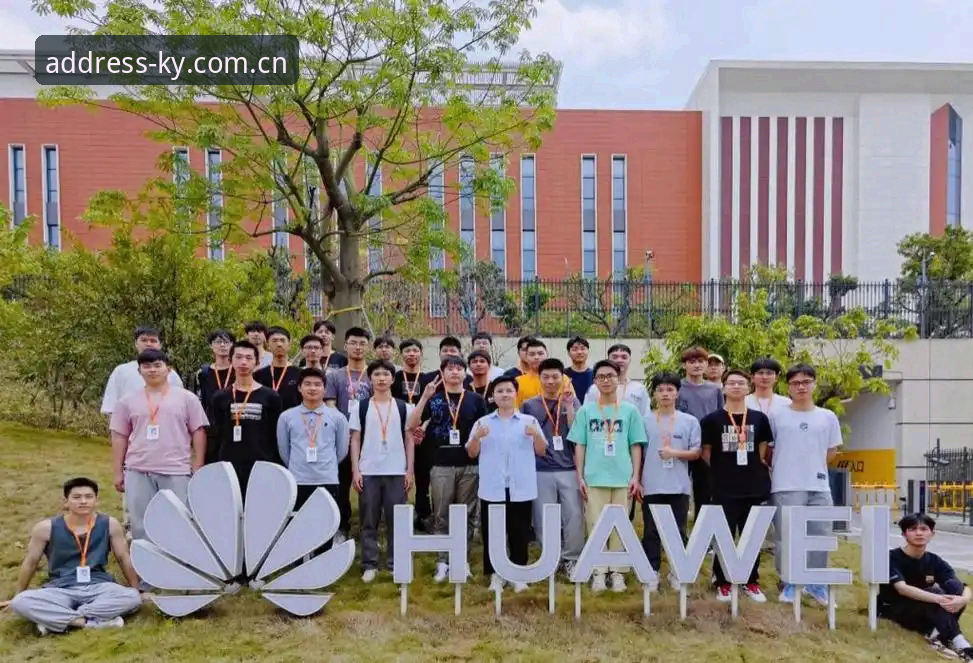 电脑端CN官网入口 vs 手机端：哪个才是体育数据追踪的最优解？